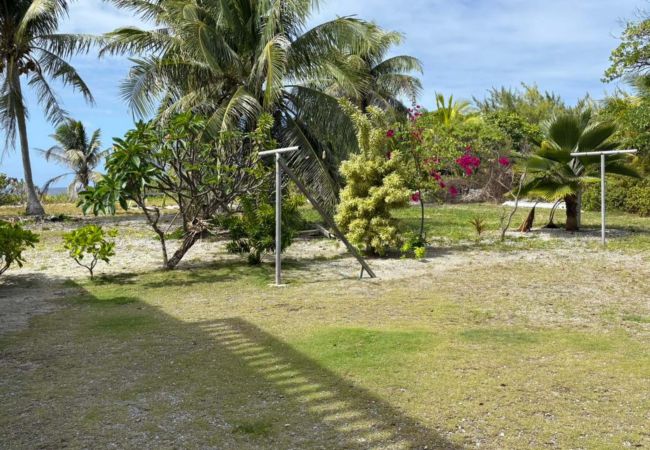 Studio à Tiputa - RANGIROA- Studio Chez Guy  Studio à Tiputa - RANGIROA- Studio Chez Guy