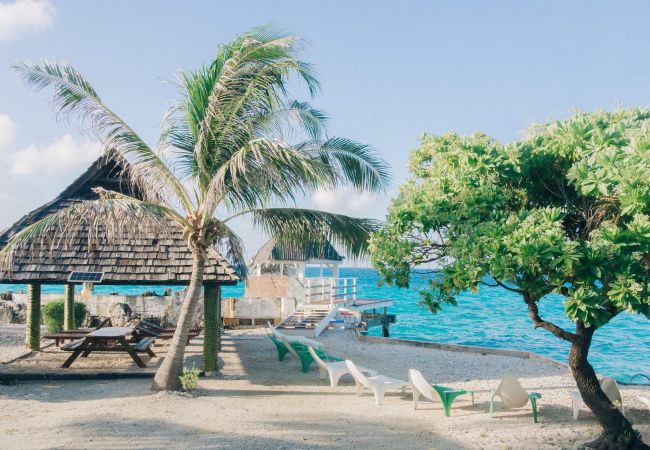 Bungalow à Avatoru - RANGIROA - Fare lagon  Bungalow à Avatoru - RANGIROA - Fare lagon
