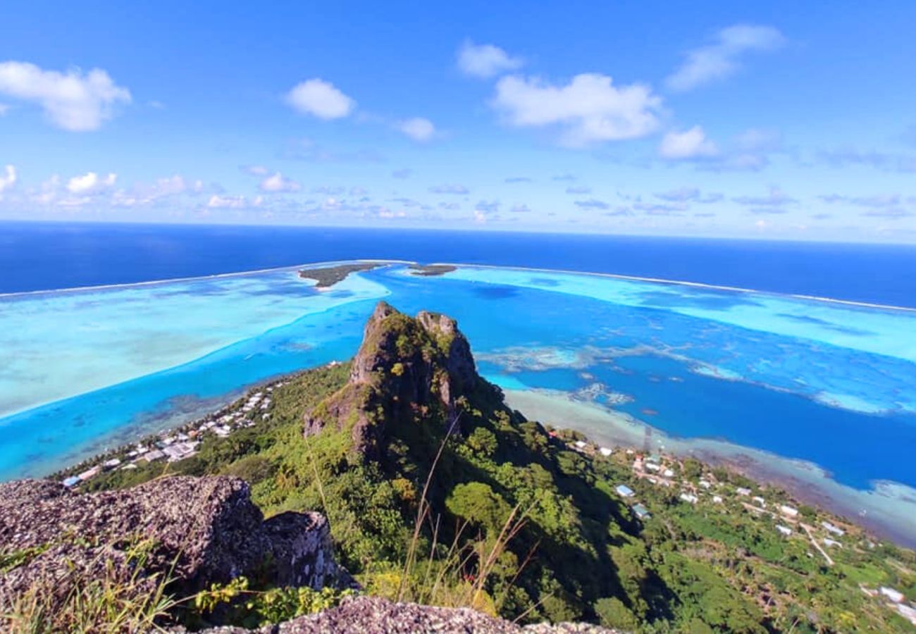 Bungalow à Maupiti  - MAUPITI - MOTU TIAPA'A BUNGALOW JARDIN 5