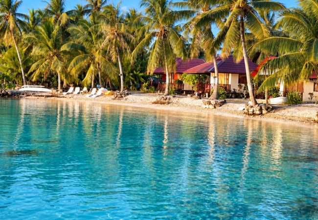 Studio à Rotoava - FAKARAVA - Fare Veke Plage triple -en 1/2 pension
