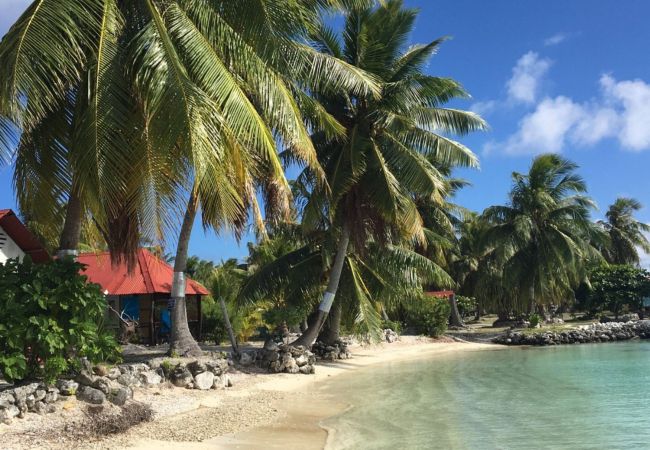 Bungalow à Rotoava - FAKARAVA-Fare Breeze Plage family-en 1/2 pension