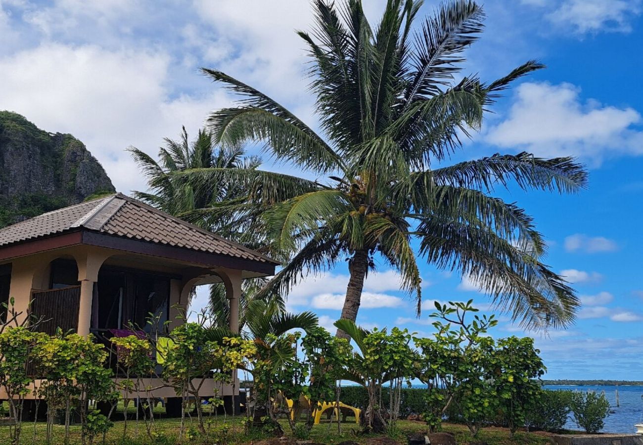 Studio à Maupiti  - MAUPITI- Sea view bungalow en 1/2 pension Studio à Maupiti  - MAUPITI- Sea view bungalow en 1/2 pension