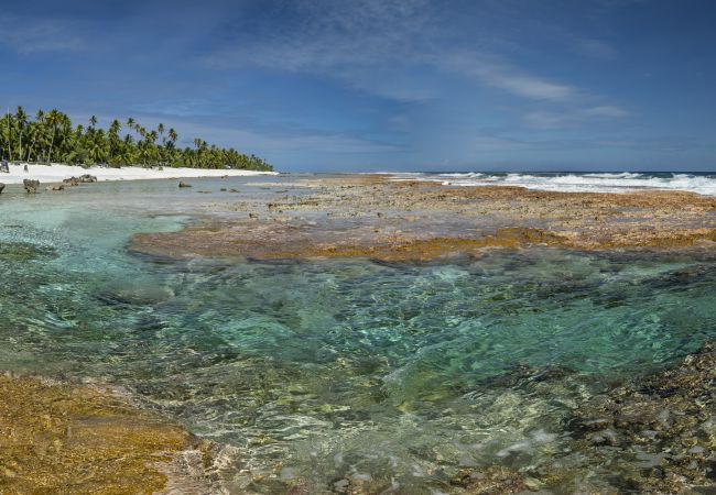 Villa à Tuherahera - TIKEHAU-Experience unique sur motu privé en pension complète  Villa à Tuherahera - TIKEHAU-Experience unique sur motu privé en pension complète