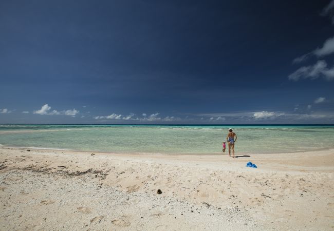 Villa à Tuherahera - TIKEHAU-Experience unique sur motu privé en pension complète  Villa à Tuherahera - TIKEHAU-Experience unique sur motu privé en pension complète