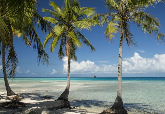 Villa à Tuherahera - TIKEHAU-Experience unique sur motu privé en pension complète  Villa à Tuherahera - TIKEHAU-Experience unique sur motu privé en pension complète