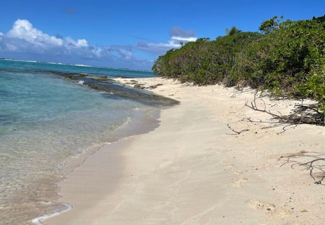 Bungalow à Parea - HUAHINE- Fare Le vent accès plage plage privée 