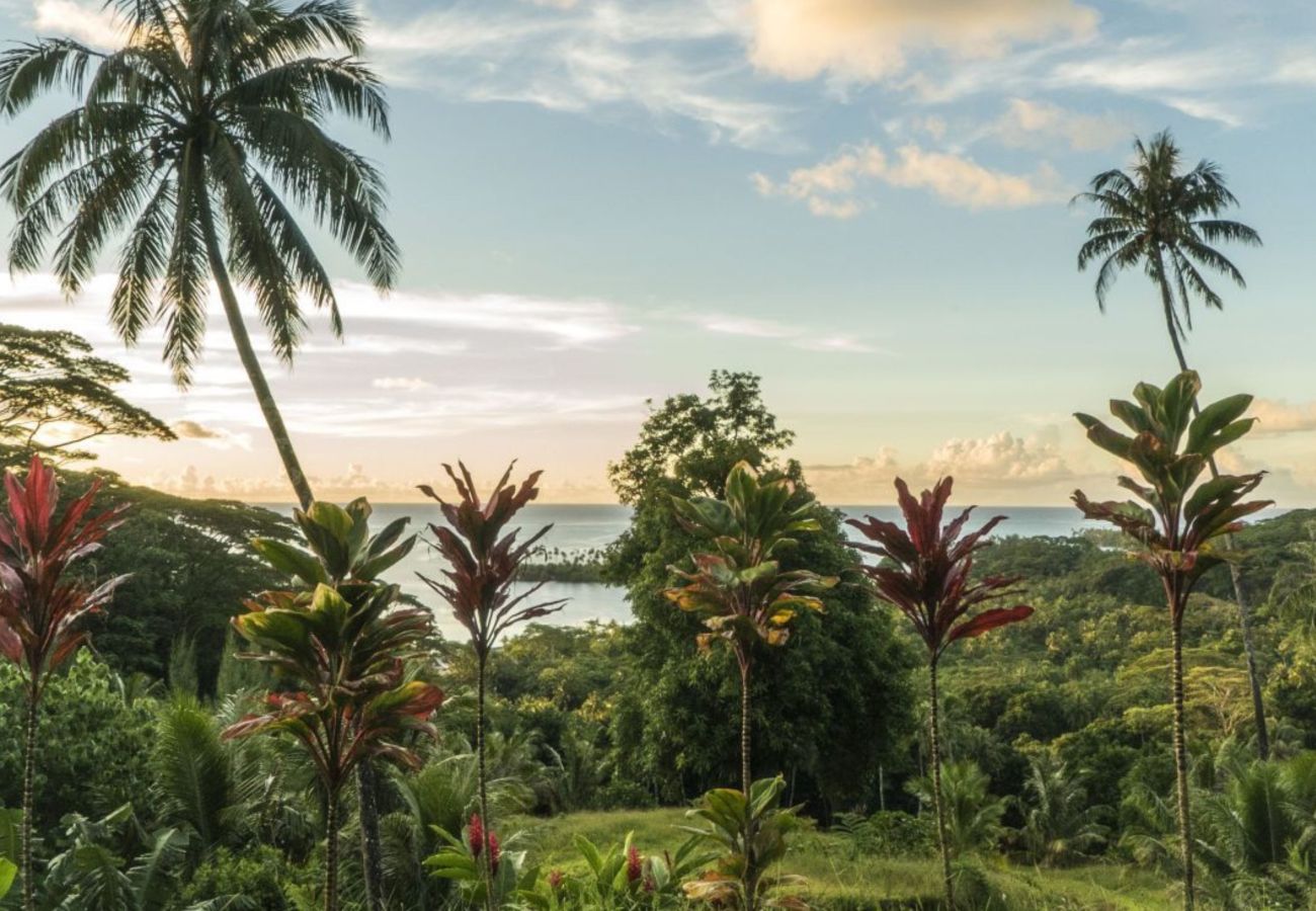 Bungalow à Avera - RAIATEA- Fare Cascades Ohana
