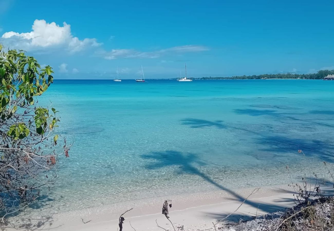 Studio à Avatoru - RANGIROA - Fare Aimeo