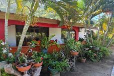 Studio à Maupiti  -  MAUPITI - Fare Taputea Iti