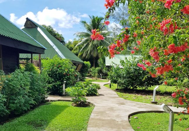 Chambres d'hôtes à Avera - RAIATEA - Chambre cascade